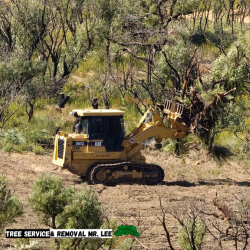 land clearing murrieta